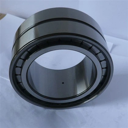 SL01-4988 Rolamento de complemento completo